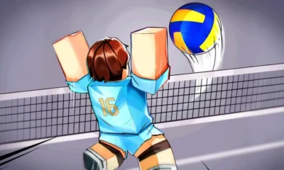 VOLLEYBALL LEGENDS